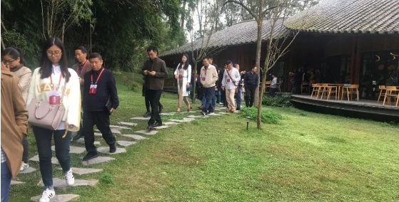 微信截图_20241106101149