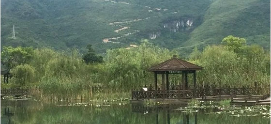 微信截图_20241106100346