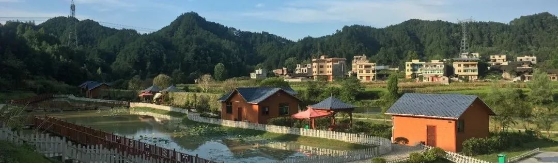 微信截图_20241106100054
