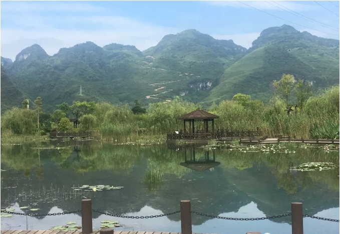 微信截图_20241106101604