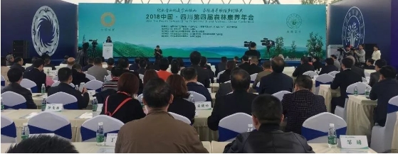 微信截图_20241106101412
