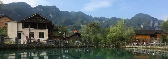 微信截图_20241106100253