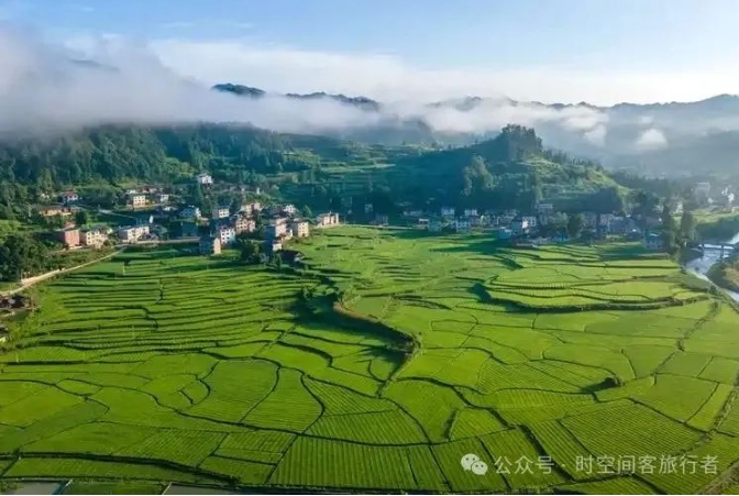 微信截图_20241106110940