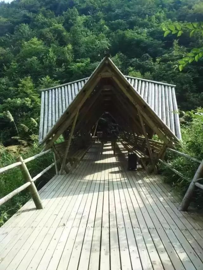 微信截图_20241111101454