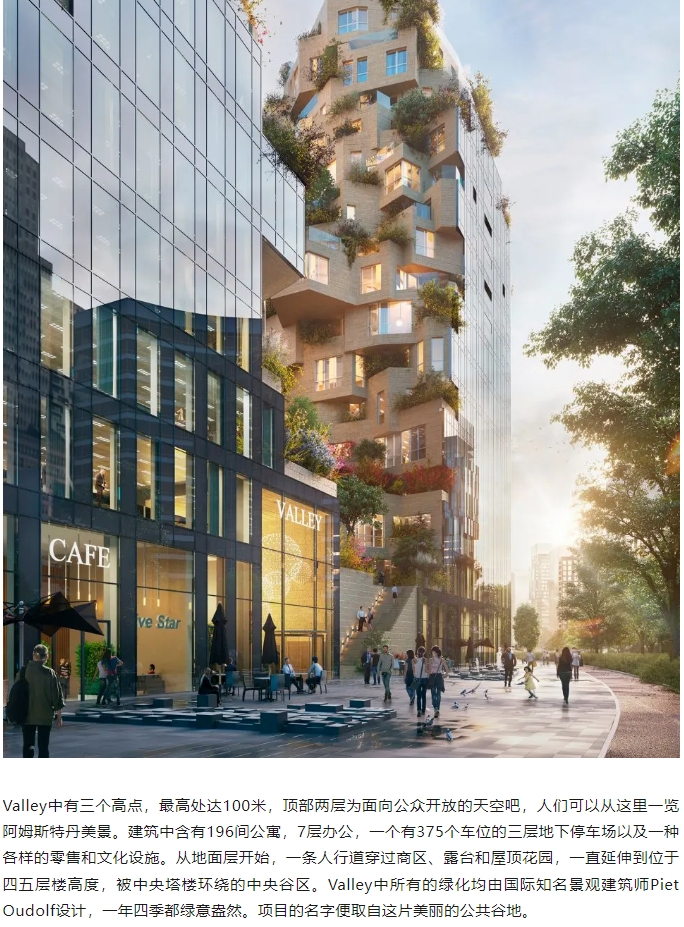 微信截图_20241112082734