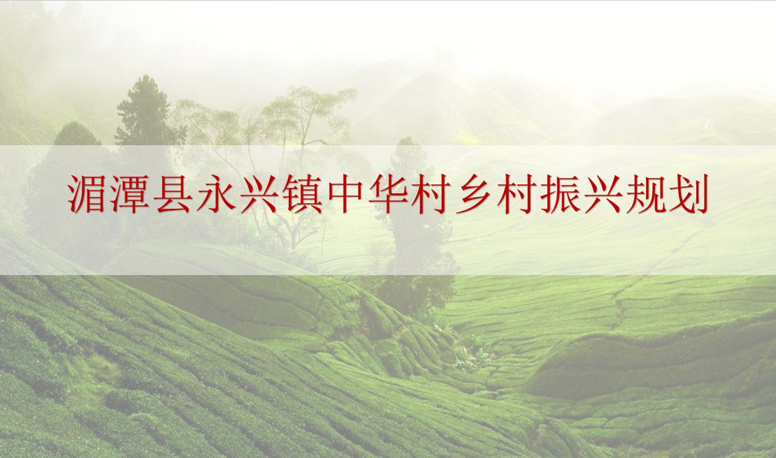 微信截图_20241113074946