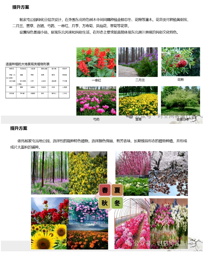 微信截图_20241209094101