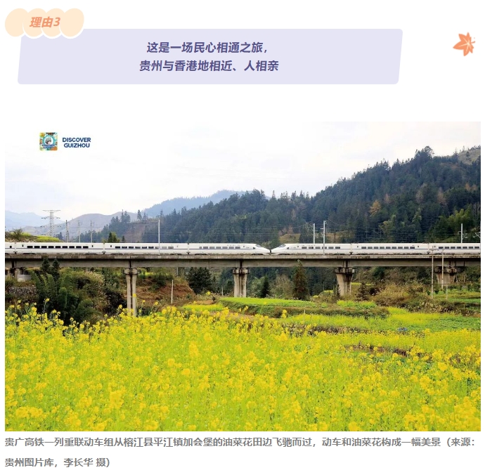 微信截图_20241223155330