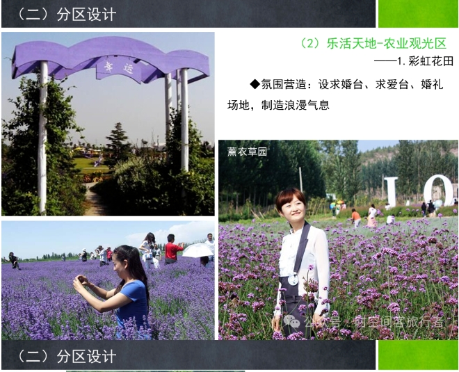 微信截图_20241224134955