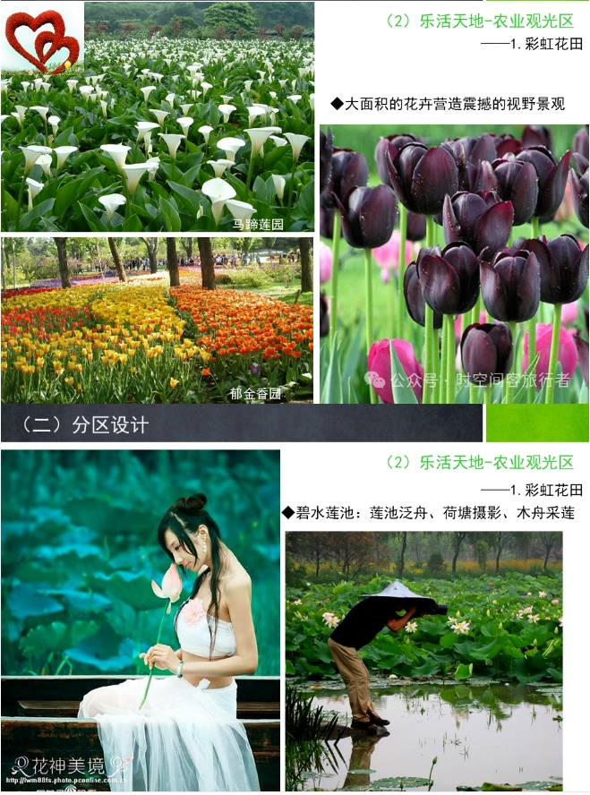 微信截图_20241224135022