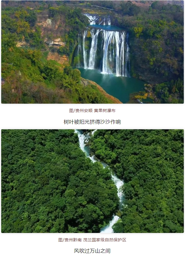 微信截图_20250529084559