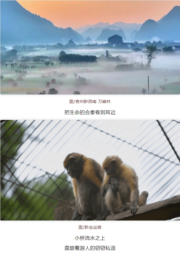 微信截图_20250529084626