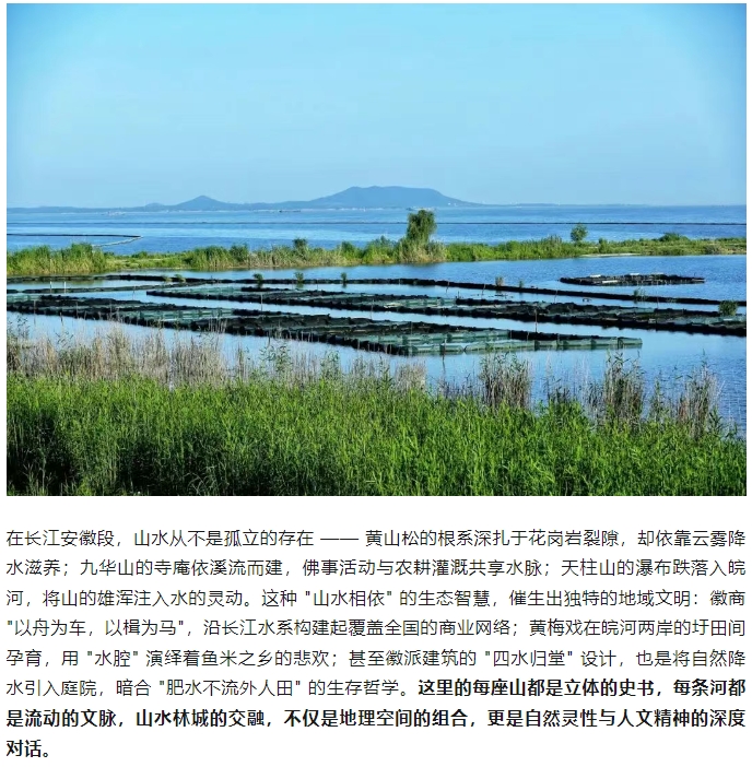 微信截图_20250612092021